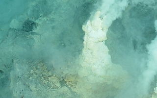 hydrothermal vents in Mariana Arc region.