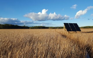 solar panels at PIE LTER