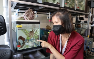 Z. Yan Wang with California two-spot octopus