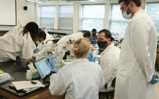 Students in the 2022 ECHO Course perform lab work