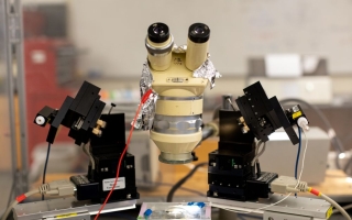 Photo caption: An electrophysiology rig and microscope in the 2024 Neural Systems and Behavior course: Credit: Dee Sullivan 