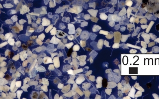 particles