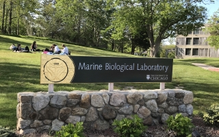 Sign and students