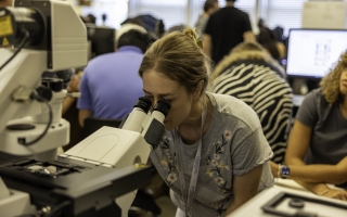 Student looks through microscope. 