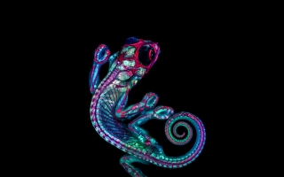chameleon