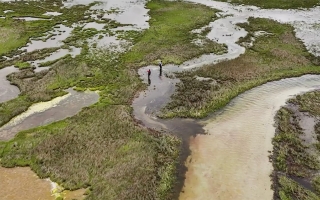 drone marsh