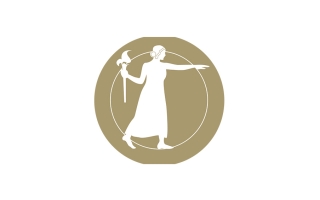 NAS logo