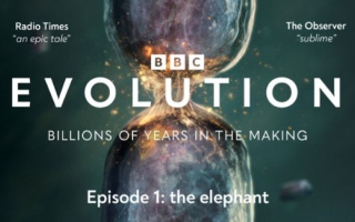 Movie poster featuring evolution