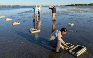 Scientists doing field work