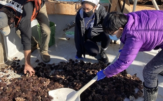 Sorting through sea urchins and other marine organisms brought up by Gemma’s trawl. L-R, MBL Collector Bill Grossman and UChicago Autumn Quarter students Hannah Holmes and Kimberly ‘Charlie’ Wang.