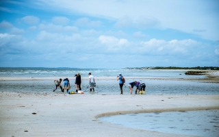 University of Chicago students sampling at Wood Neck Beach