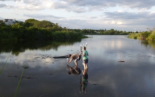 Setting up sampling poles at Trunk River. 