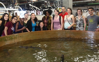 Alumni of the EXROP program visit the Marine Resources Center. L-R: Krissy Lyon, Karina Perlaza, Taylor Brown, Christine Liu, Elelbin Ortiz, Vivian Chen, Daisha Steadman, Rebecca Senft, Juan Pablo Ruiz, Kendall Condon, Maureen Carey, Javier How.