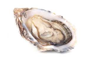 An oyster