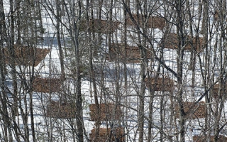 Heated and control plots in a long-term soil warming study at Harvard Forest, Petersham, Mass.