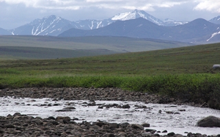 Tundra landscape near Toolik Field Station, with the Brooks Range in the distance.