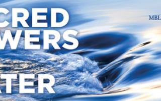 sacred powers of water text over water graphic