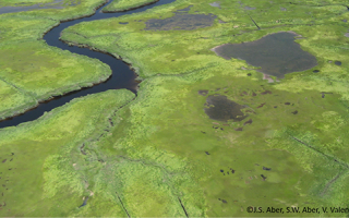 Salt marsh in Rowley, Mass.