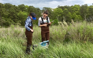Environmental Fellows Sarah Kaplan of The Washington Post and María Mónica Monsalve of El Espectador field sampling in Woods Hole. 