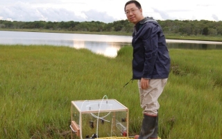 Jianwu Tang measures greenhouse gas emissions from a salt marsh on Cape Cod, Massachusetts in 2013. Credit: Jianwu Tang