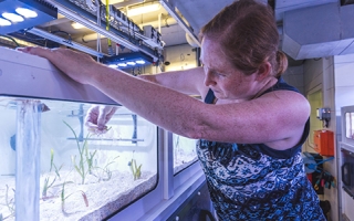 Mirta Teichberg in her seagrass lab