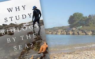 Why Study Biology by the Sea? book cover with beach in background