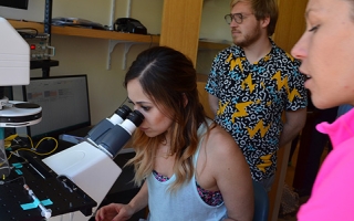 Neurobiology students learning single-channel recording on an electrophysiology rig. At right is teaching assistant Rebecka Supela; sitting is student Briana Pinales; standing is student Robin Grob.