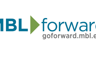 MBL Forward banner