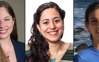 hibbitt fellows