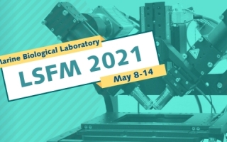 LSFM banner with microscope in background