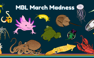 March Madness banner with various organisms