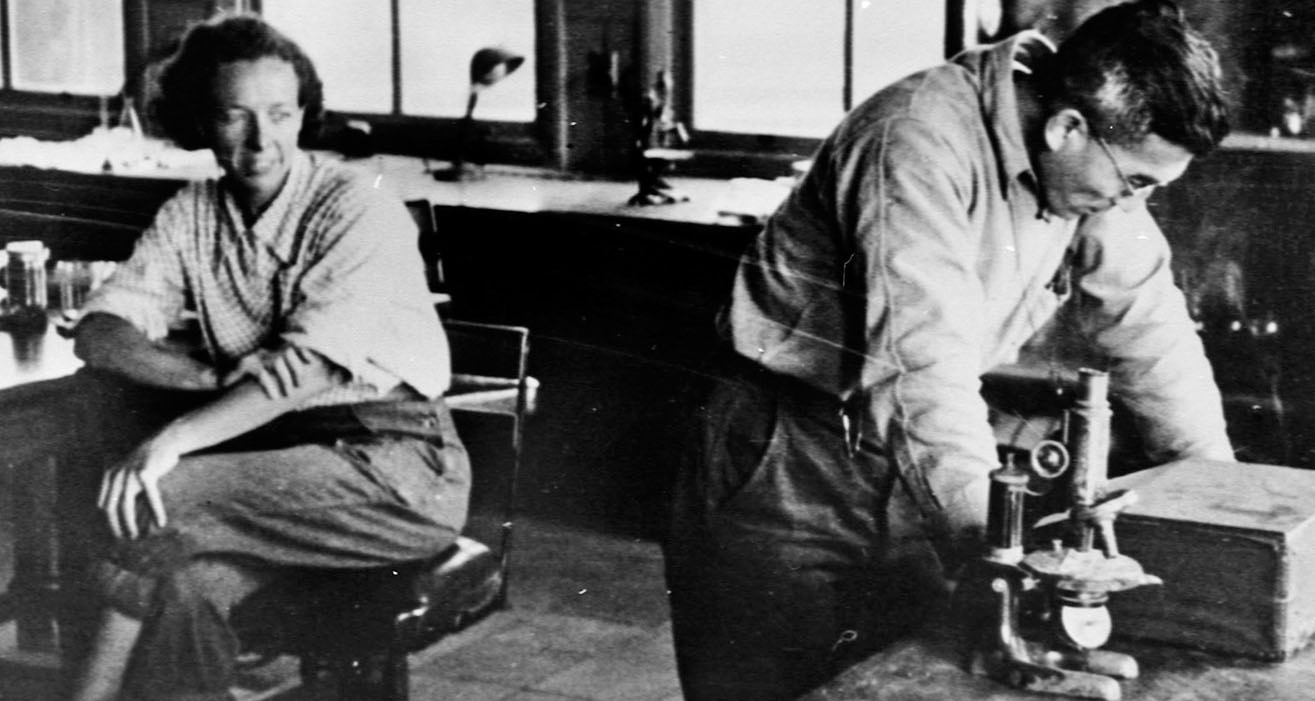 Jean Clark Dan and Katsuma Dan in their laboratory at the Misaki Marine Biological Station. Credit: Dr. Mariko Kondo, MMBS. Photo courtesy of the Woods Hole Historical Museum.