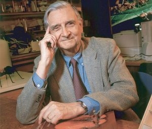 E.O. Wilson. Photo Courtesy PLoS via CC license.