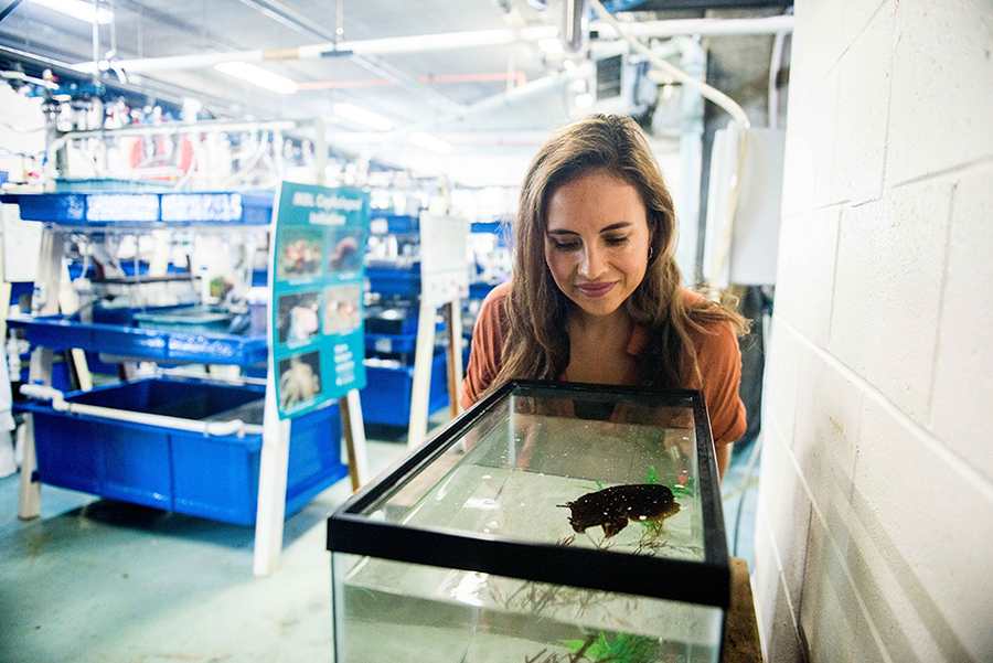 alex schnell with cuttlefish