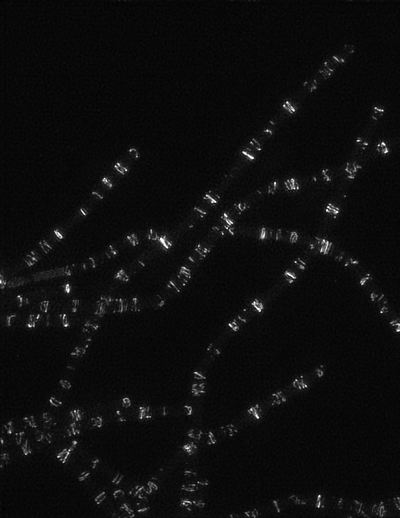 A 3D structured illumination microscopy image of Z rings in the absence of FtsZ binding proteins. Taken during the 2017 Physiology Course on the DeltaVision OMX SR. Credit: Victoria Yan & Georgia Squyres / MBL Physiology