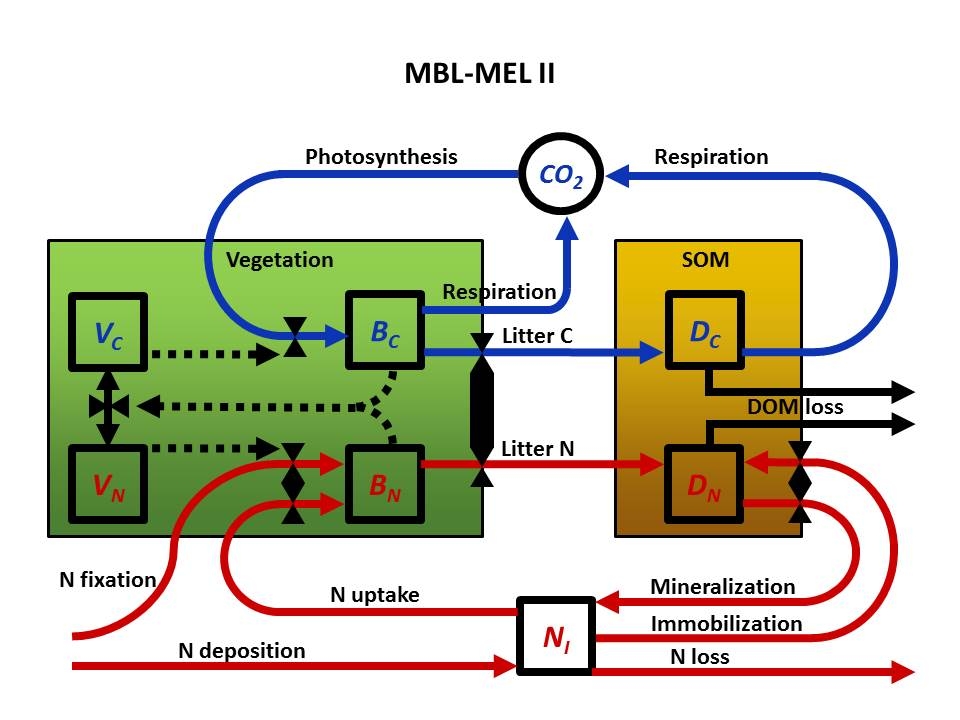 mbl mel graphic