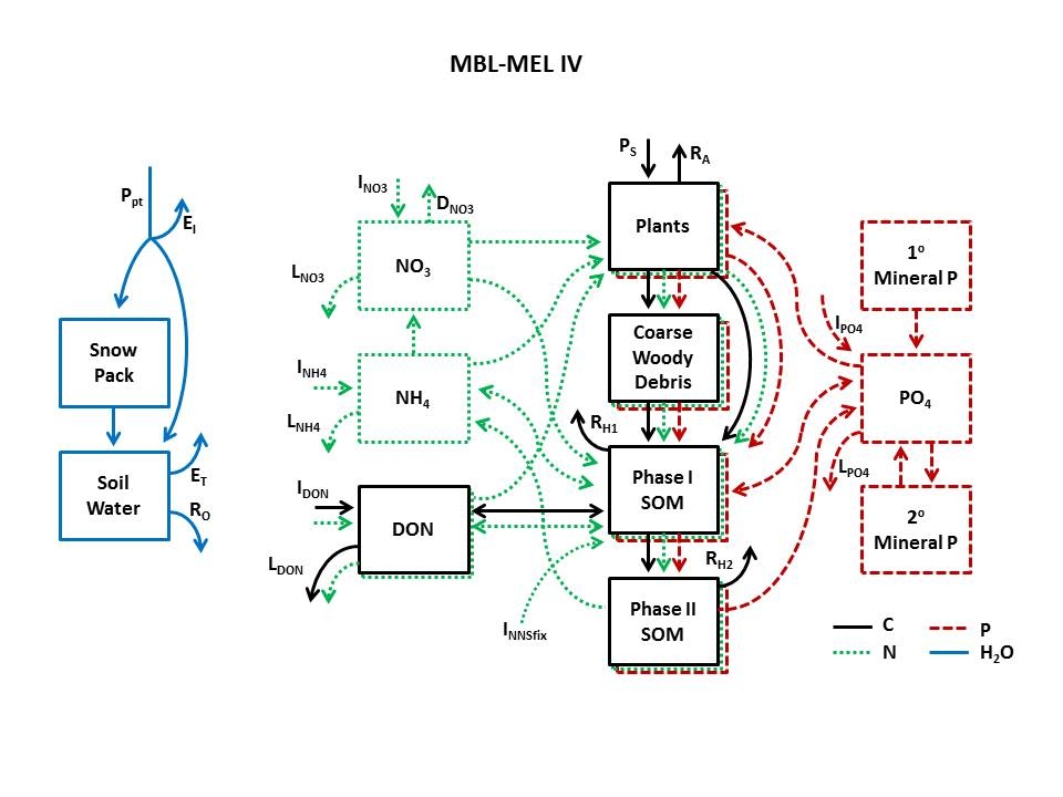 mbl mel IV