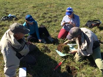 soil sampling