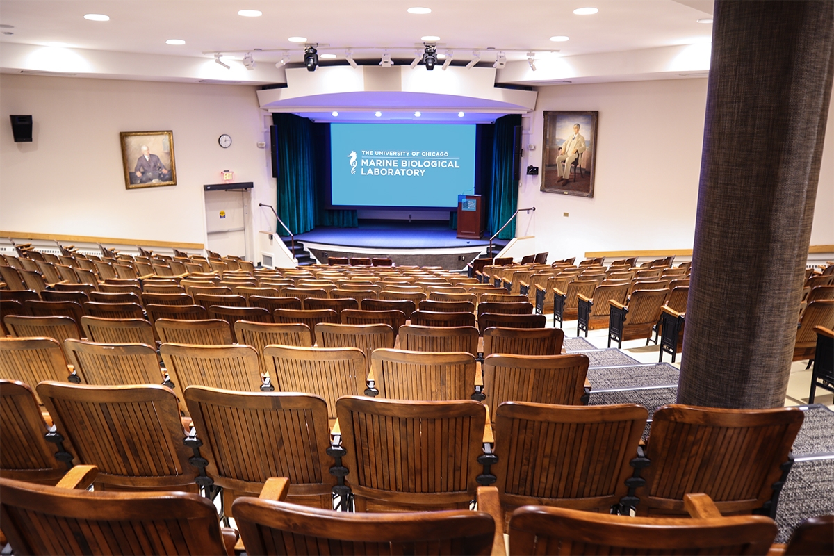 Cornelia Clapp Auditorium