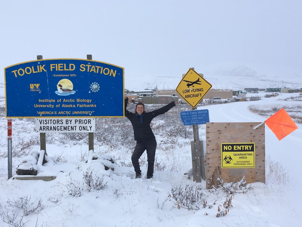 Sarah Messenger at Toolik Field Station in Alaska. Credit: Sarah Messenger