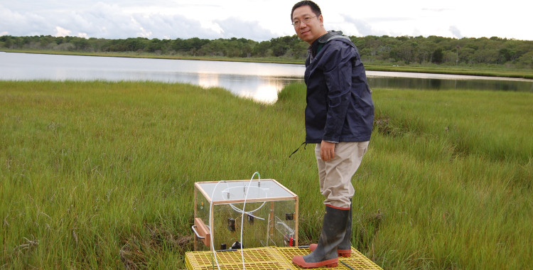 Jianwu Tang measures greenhouse gas emissions from a salt marsh on Cape Cod, Massachusetts in 2013. Credit: Jianwu Tang