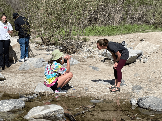 testing stream water