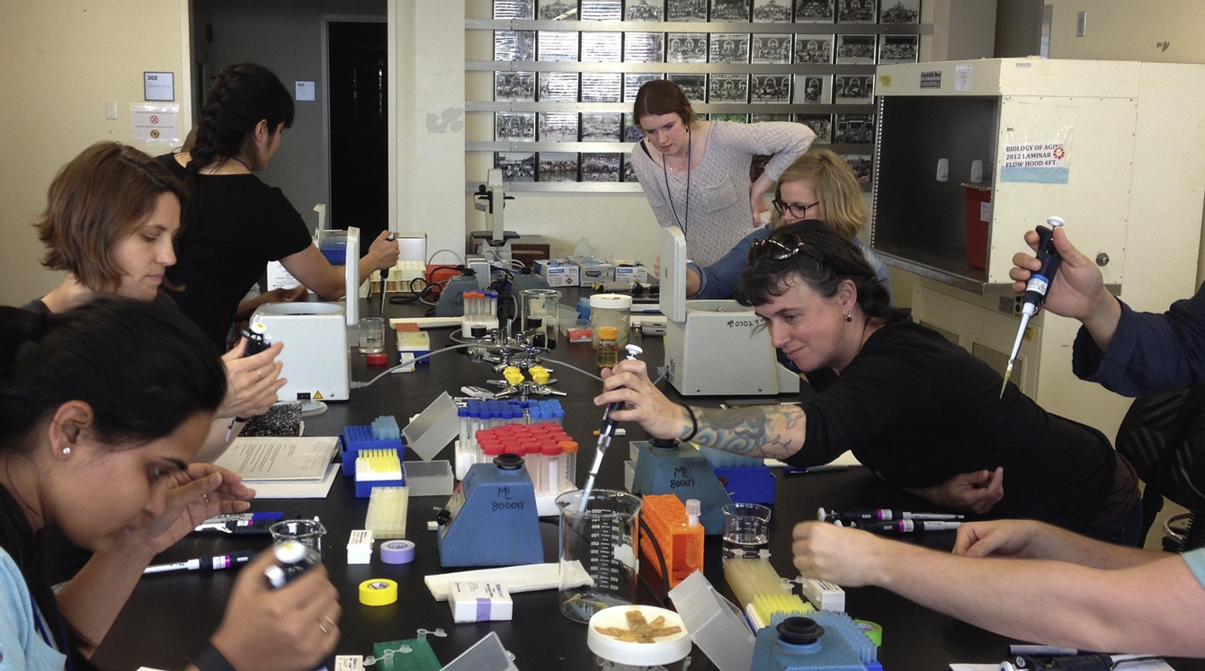 MBL Logan Science Journalism Program biomedical fellows learn how to pipette on the first day of the course.