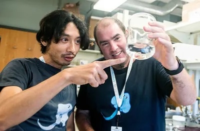 Tetsuya Nakamura of Rutgers University and José Luis Gómez-Skarmeta of Centro Andaluz de Biología del Desarrollo with a little skate hatchling in their MBL Whitman Center lab. Credit: Megan Costello