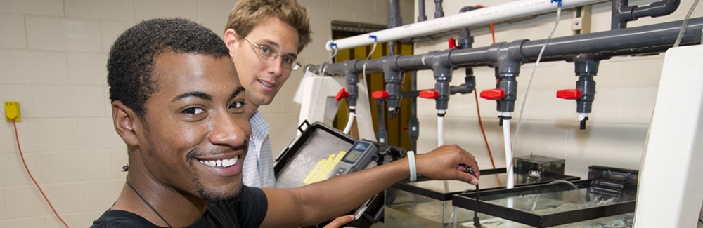 Student testing water