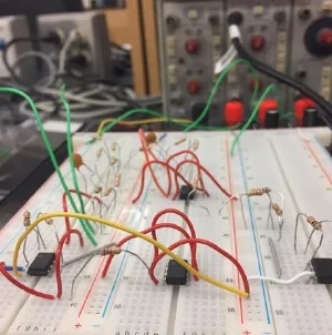 The circuit Nora Bradford built in her course at MBL.