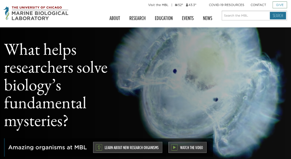 screenshot of the MBL homepage with text that reads "What helps researchers solve biology's fundamental mysteries?"