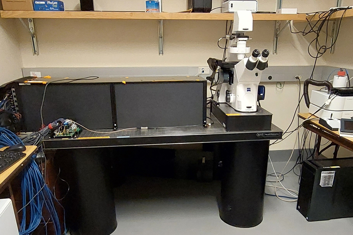 Observer M25 Microscope