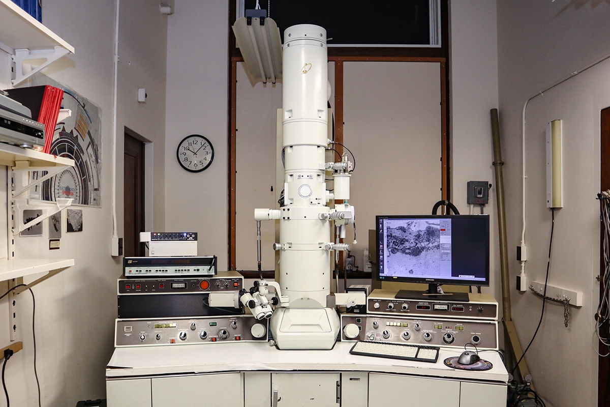 TEM JEOL JEM-200CX Microscope