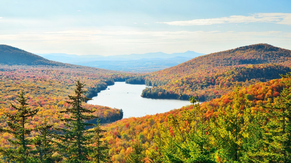 new england forest and lake